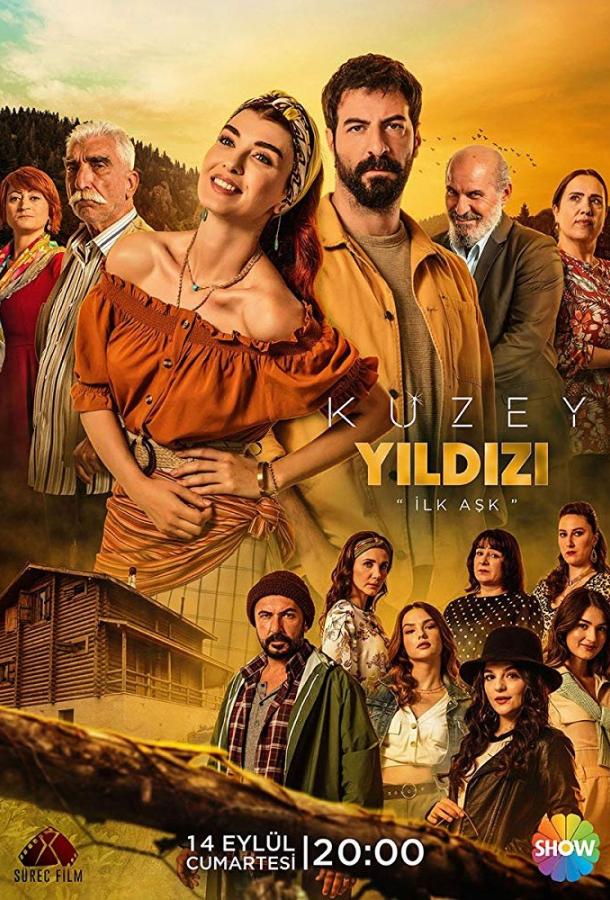 Полярная звезда (2019) онлайн бесплатно