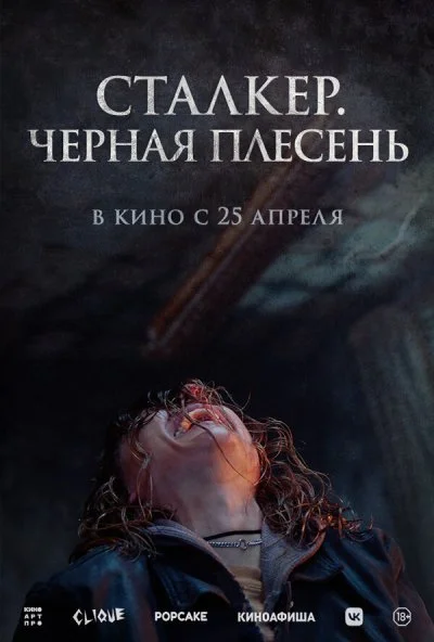 Сталкер. Черная плесень (2023) онлайн бесплатно