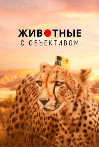 Животные с объективом (2018) онлайн бесплатно